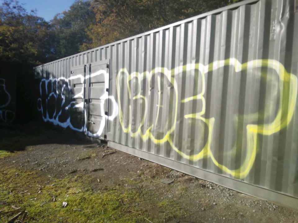 The photograph attached to this graffiti report
