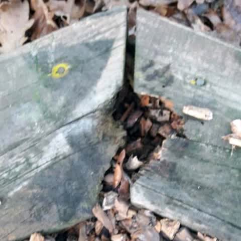 Parks — a report photo