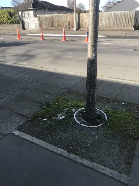 Roading/Streets, a report photo