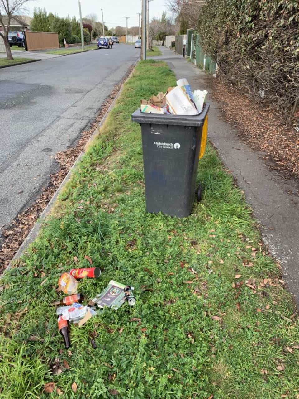 The photograph attached to this rubbish/recycling report