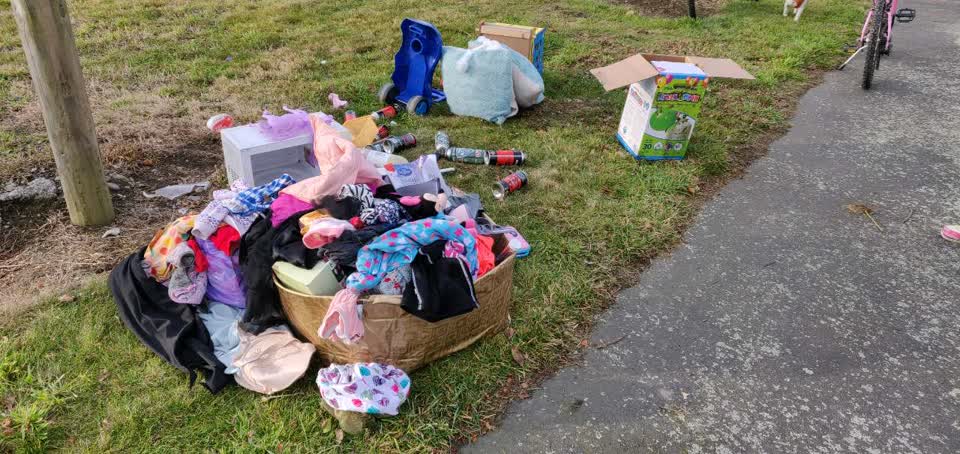 The photograph attached to this rubbish/recycling report