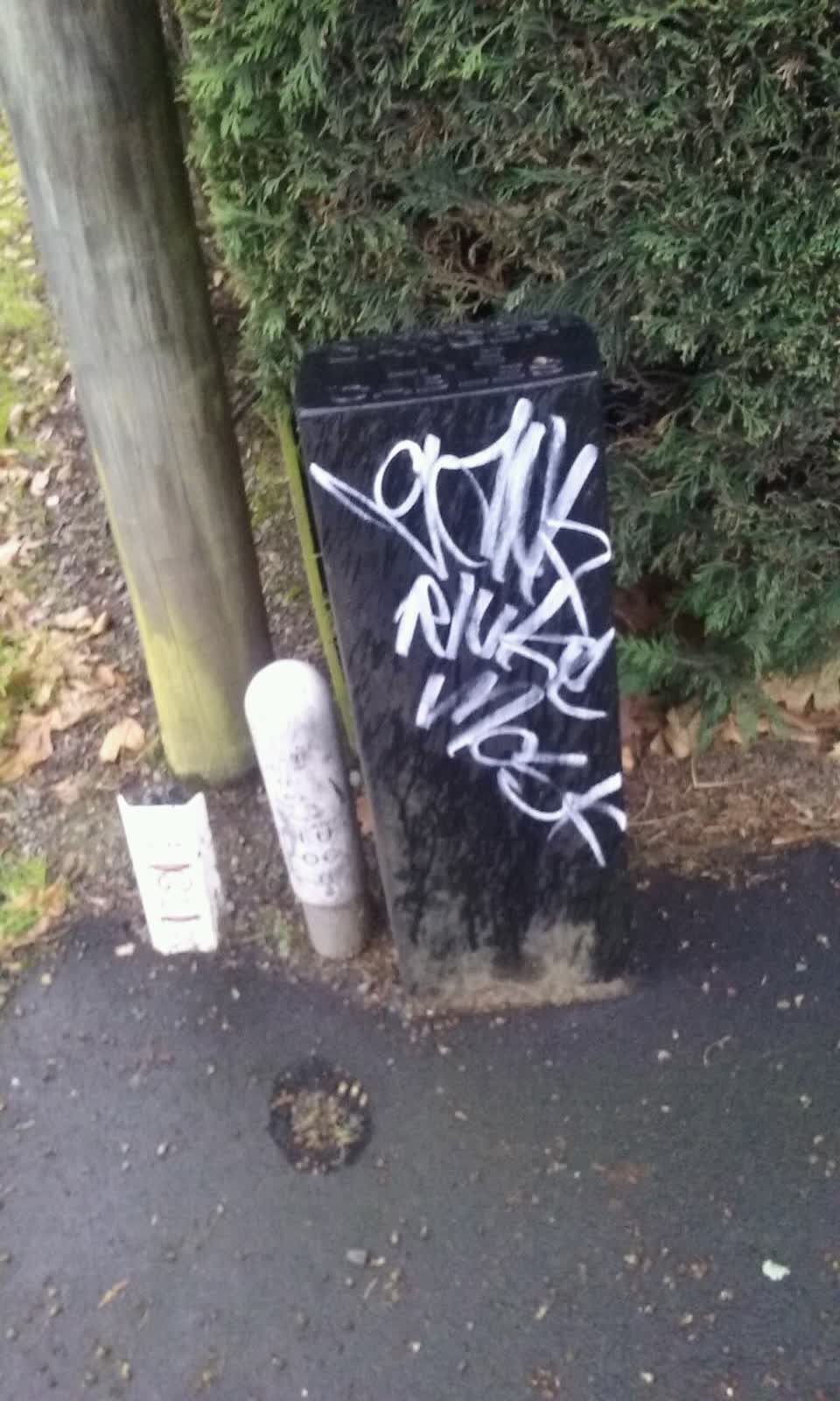 The photograph attached to this graffiti report