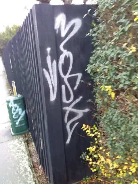 Graffiti, a report photo
