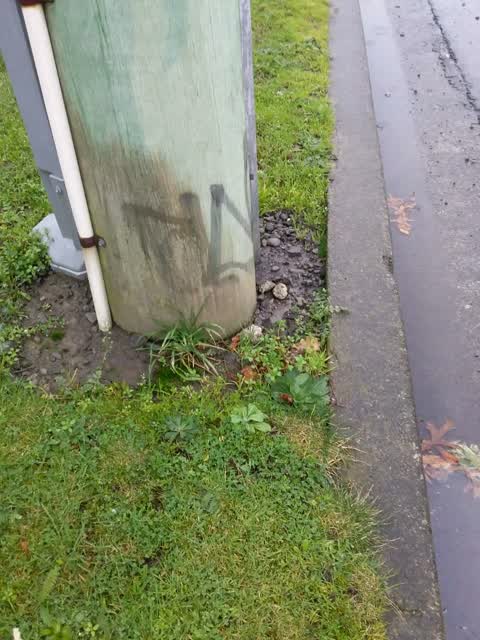 Graffiti, a report photo