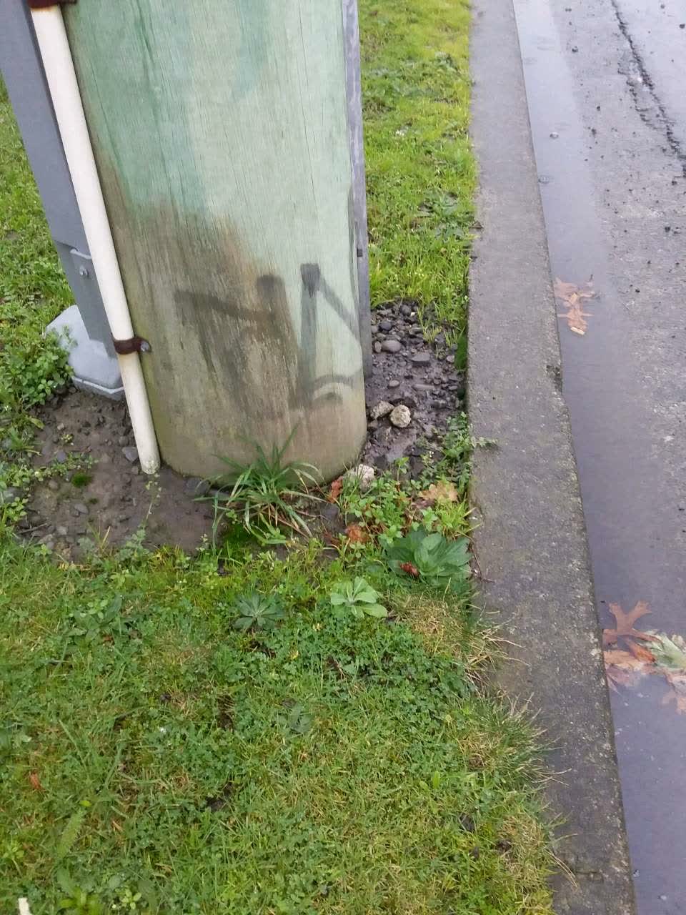 The photograph attached to this graffiti report