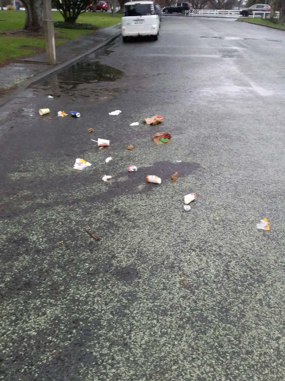 The photograph attached to this rubbish/recycling report