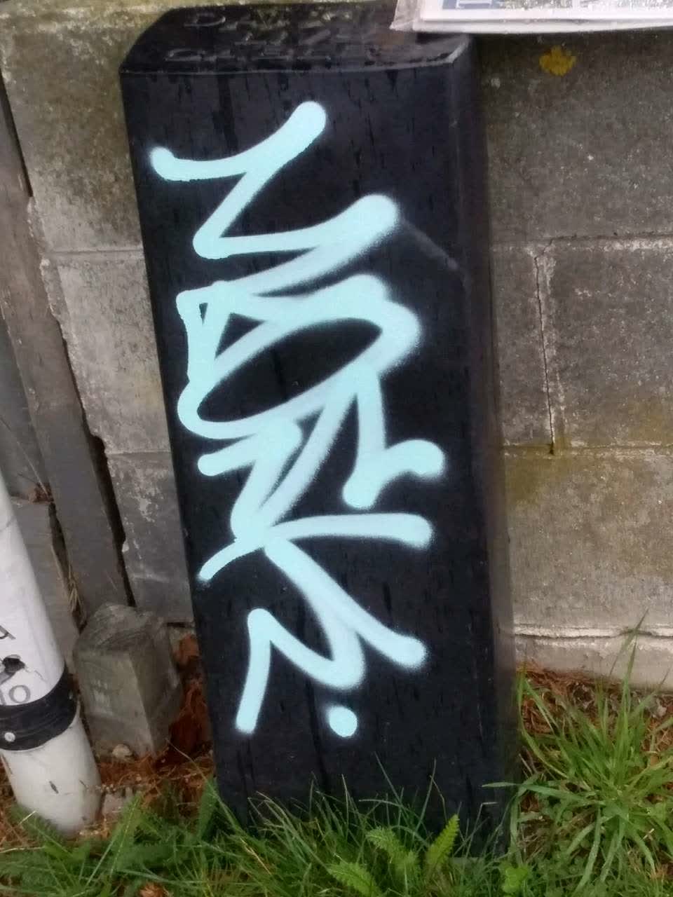 The photograph attached to this graffiti report