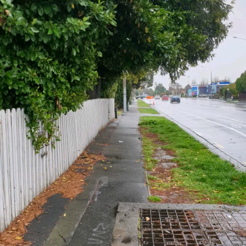 The photograph attached to this parks report