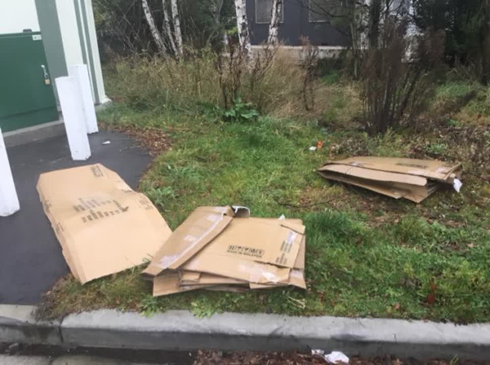 The photograph attached to this rubbish/recycling report