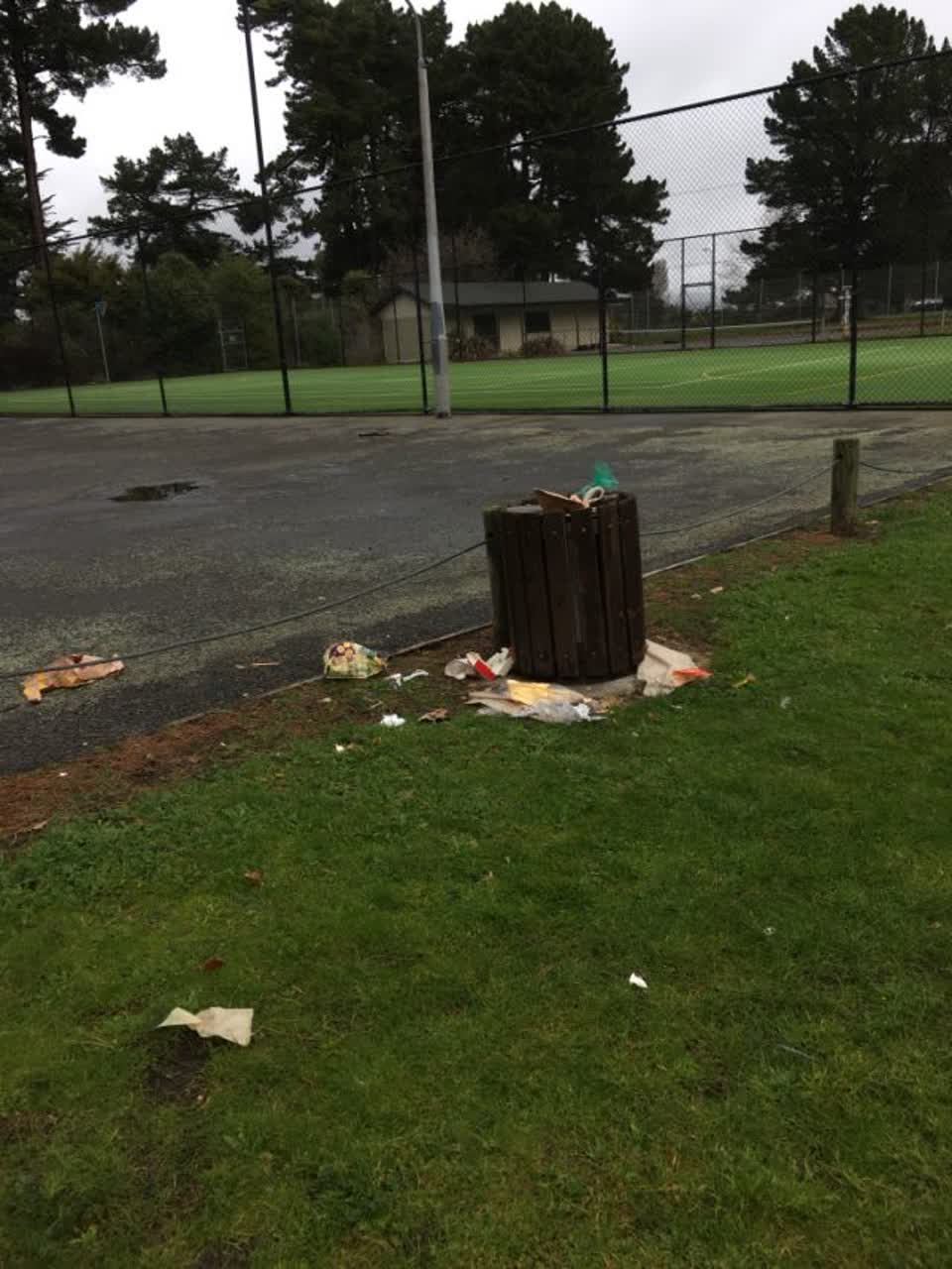The photograph attached to this rubbish/recycling report