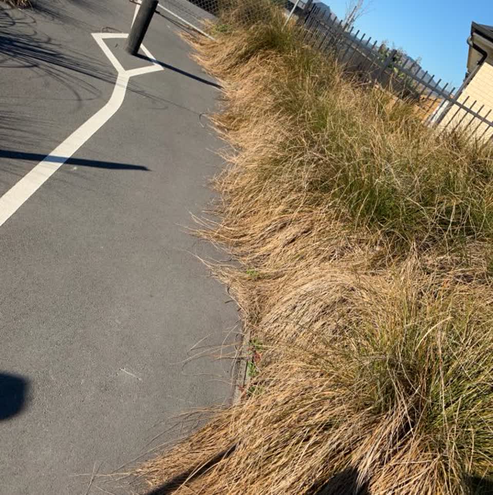 The photograph attached to this parks report
