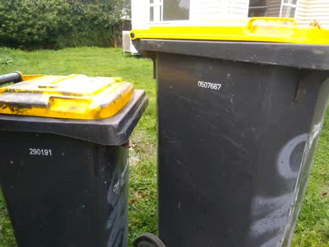 Rubbish/Recycling, a report photo