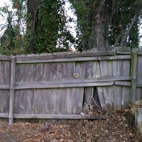 Parks, a report photo