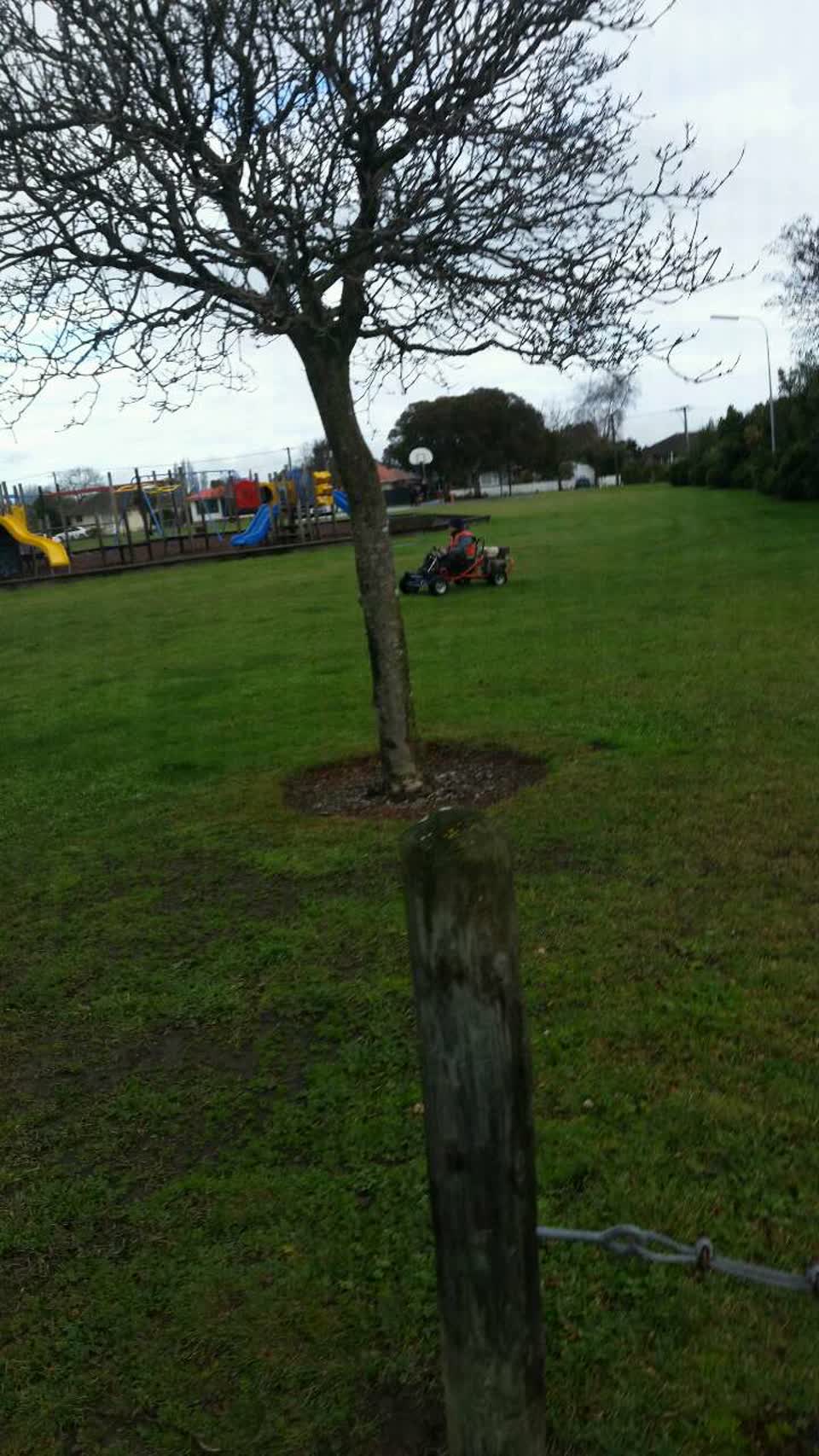 The photograph attached to this parks report