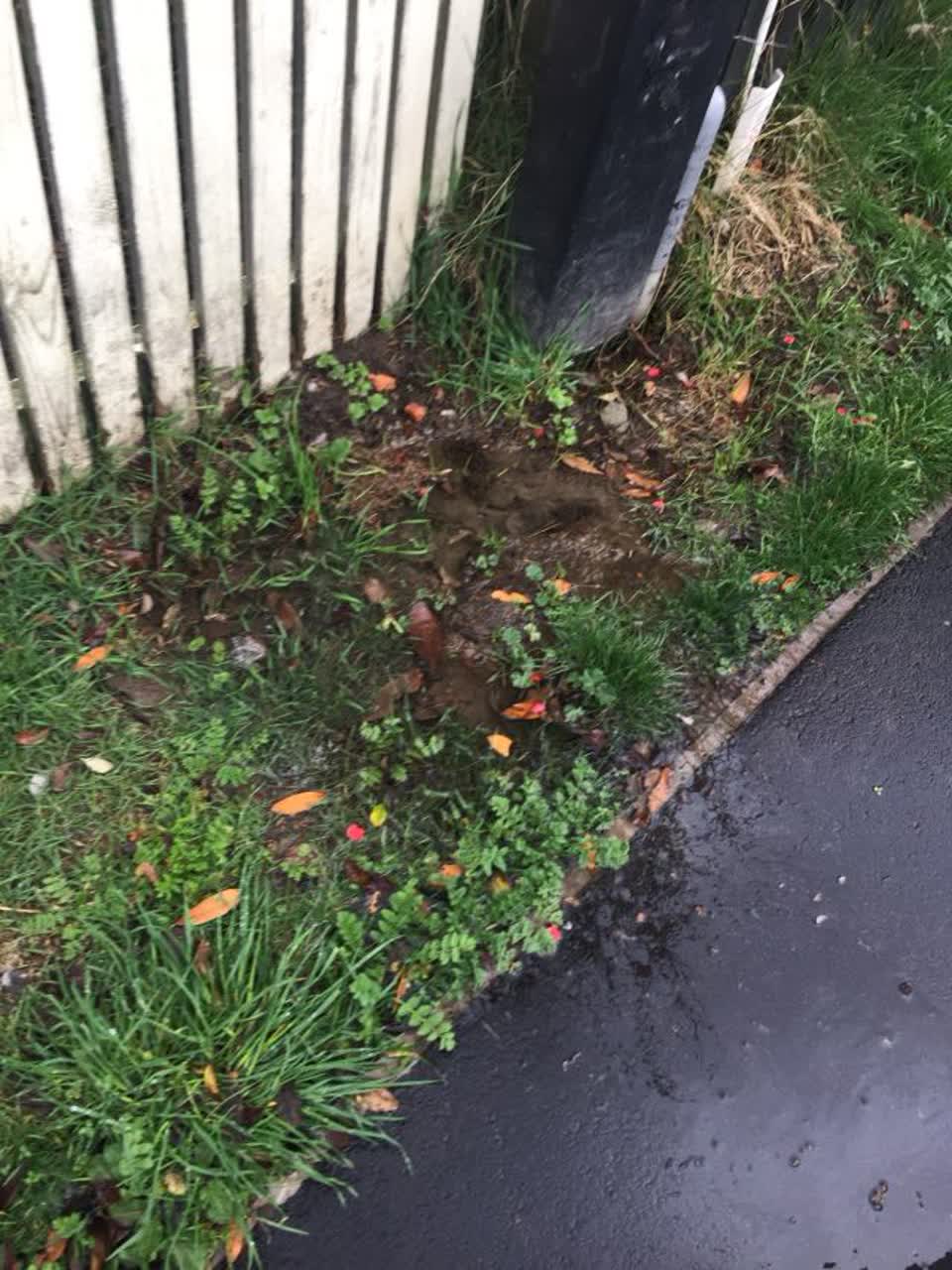 The photograph attached to this water supply report
