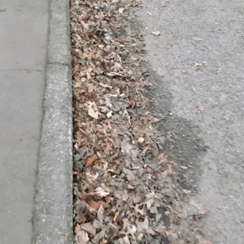 Roading/Streets, a report photo