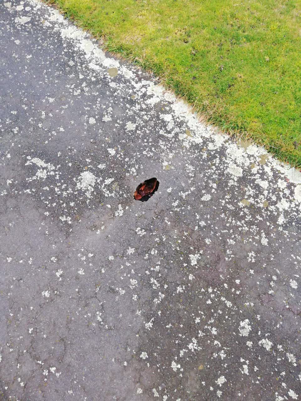 The photograph attached to this roading/streets report