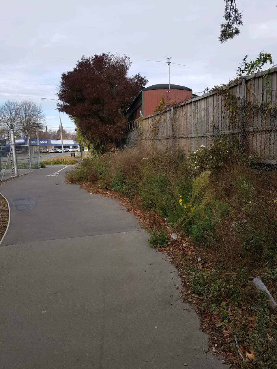 The photograph attached to this parks report