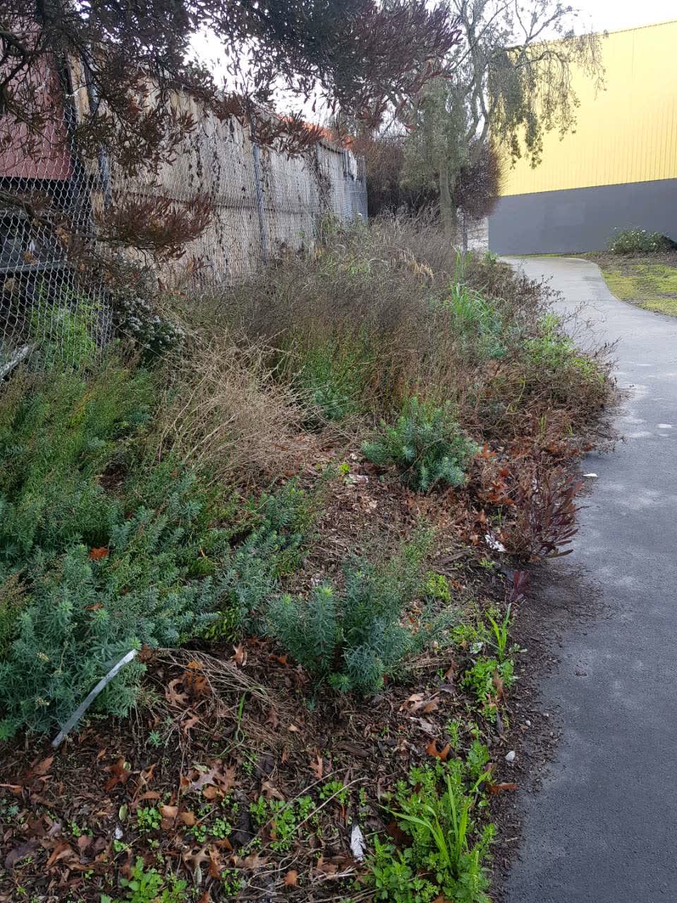 The photograph attached to this parks report