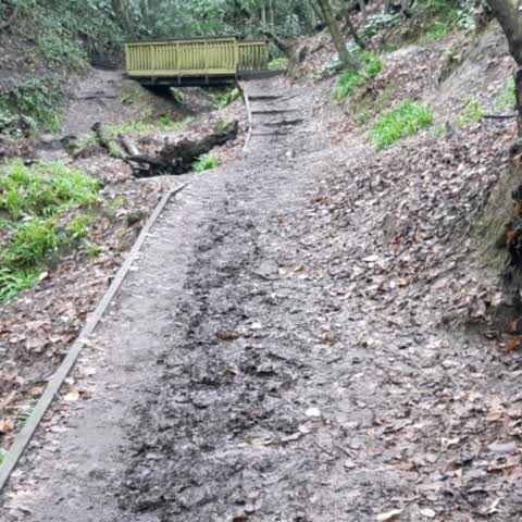 Parks, a report photo