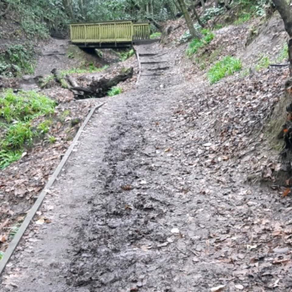 The photograph attached to this parks report