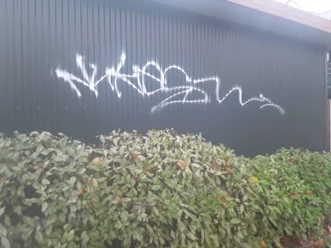 Graffiti, a report photo