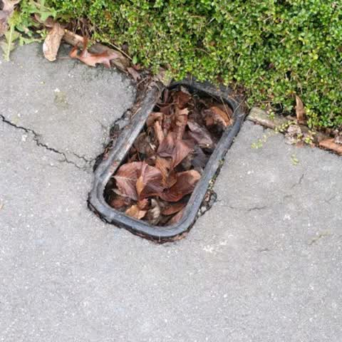 Roading/Streets, a report photo