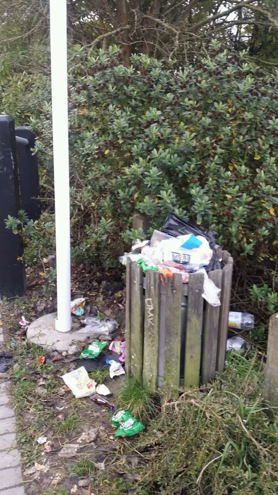 The photograph attached to this rubbish/recycling report