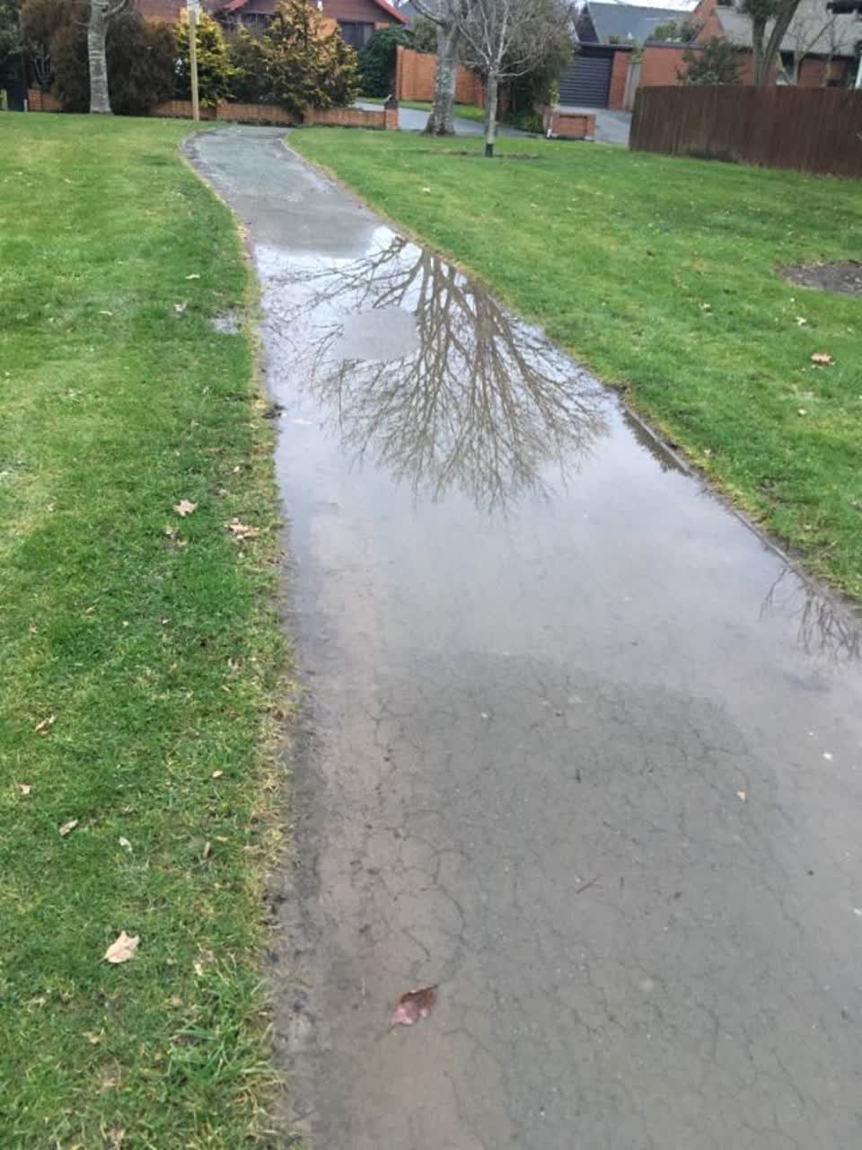 The photograph attached to this parks report