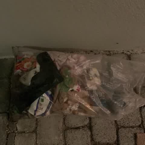 Rubbish/Recycling, a report photo