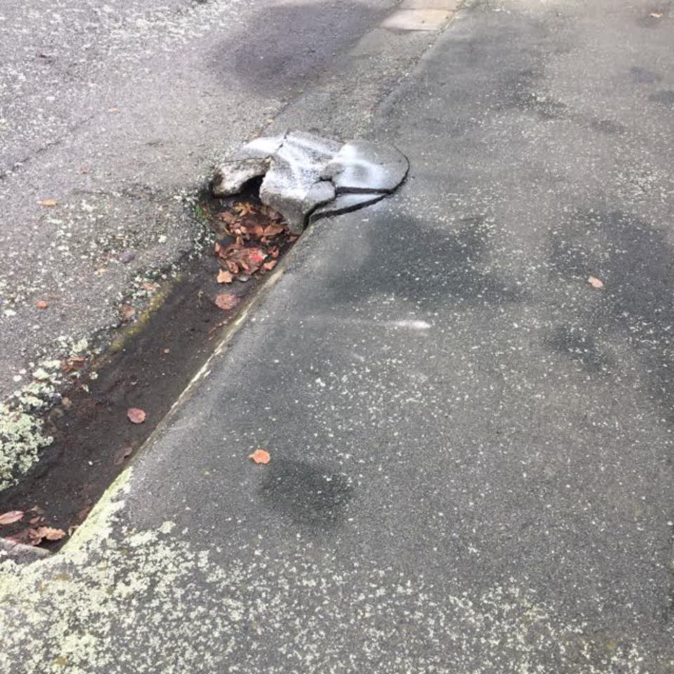 The photograph attached to this roading/streets report