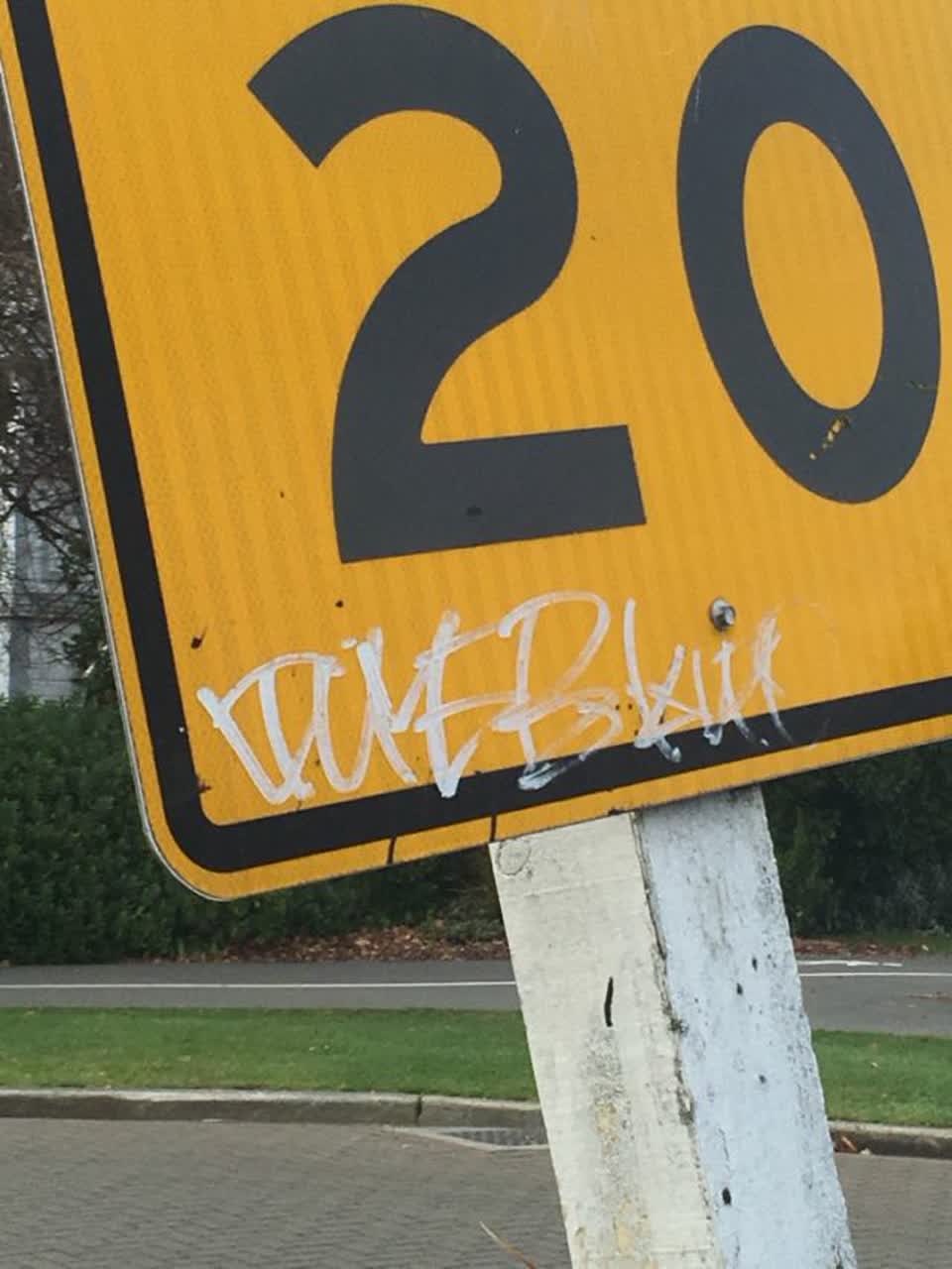 The photograph attached to this graffiti report