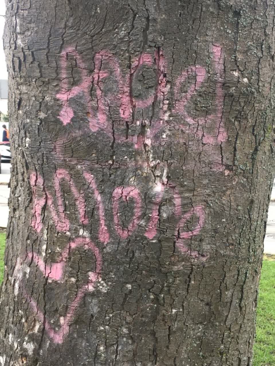 The photograph attached to this graffiti report