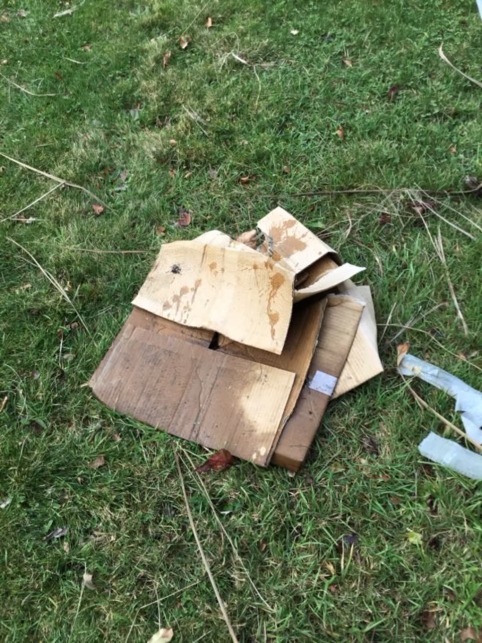 The photograph attached to this rubbish/recycling report