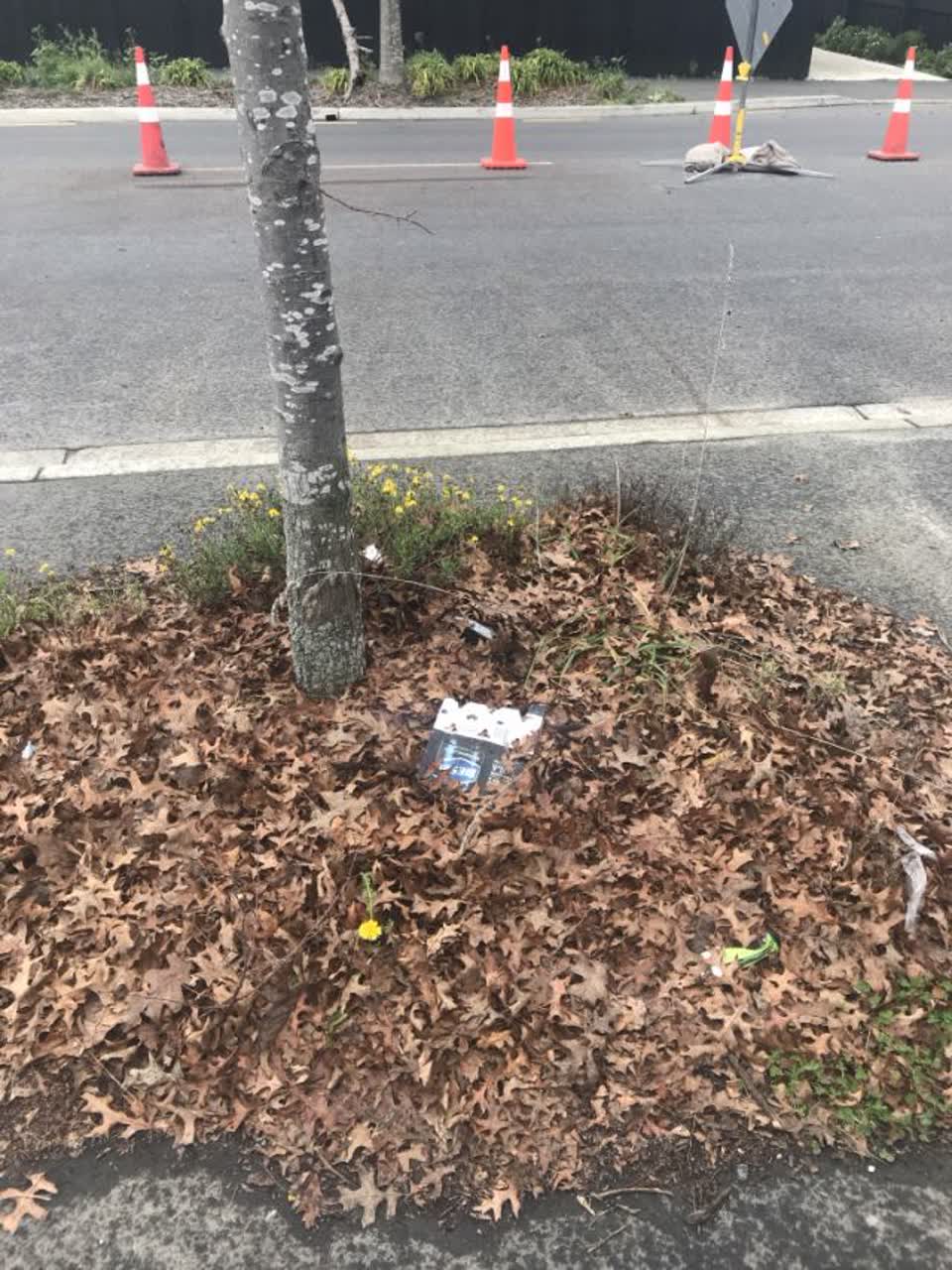 The photograph attached to this roading/streets report