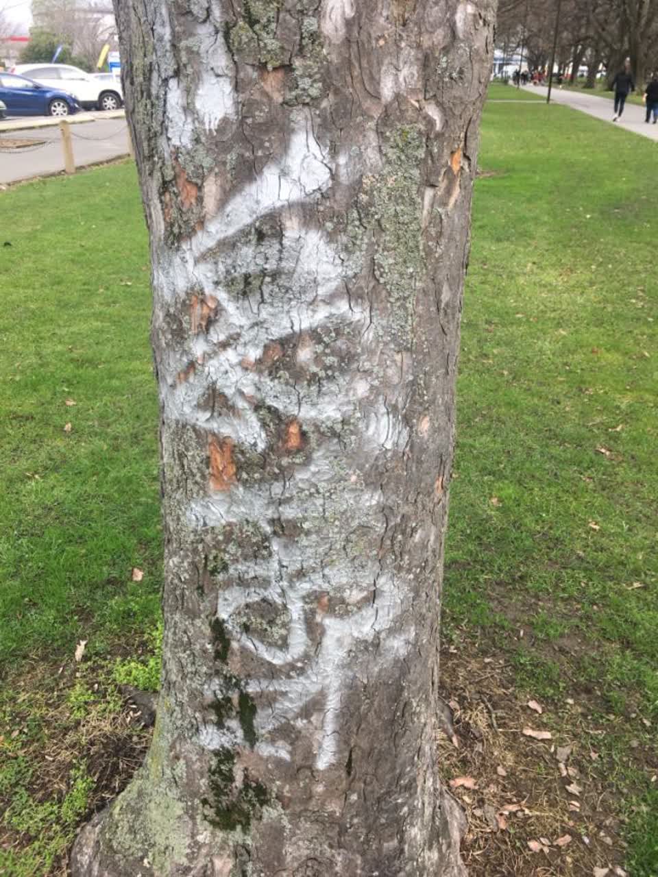 The photograph attached to this graffiti report