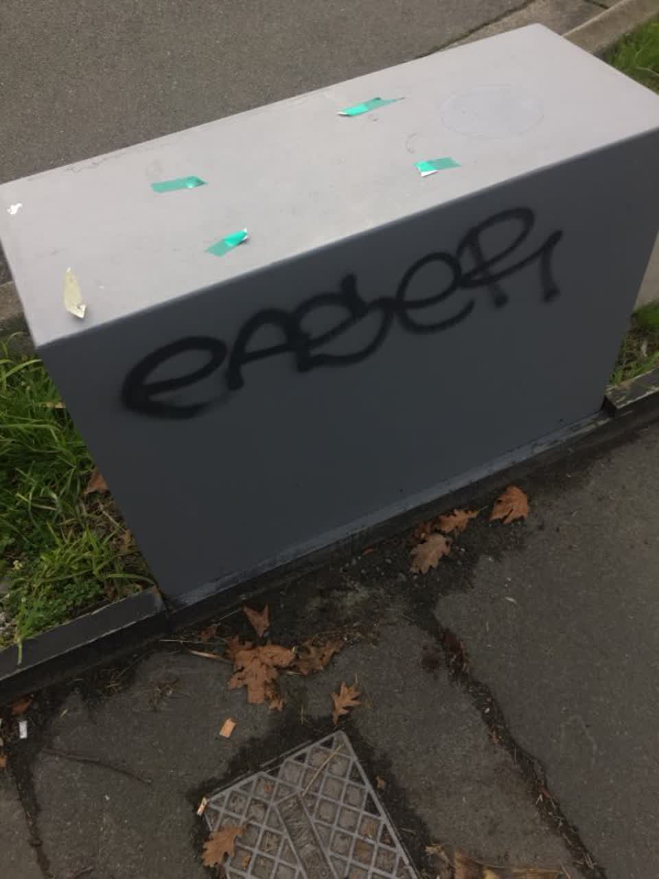 The photograph attached to this graffiti report