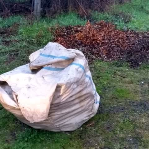 Rubbish/Recycling, a report photo
