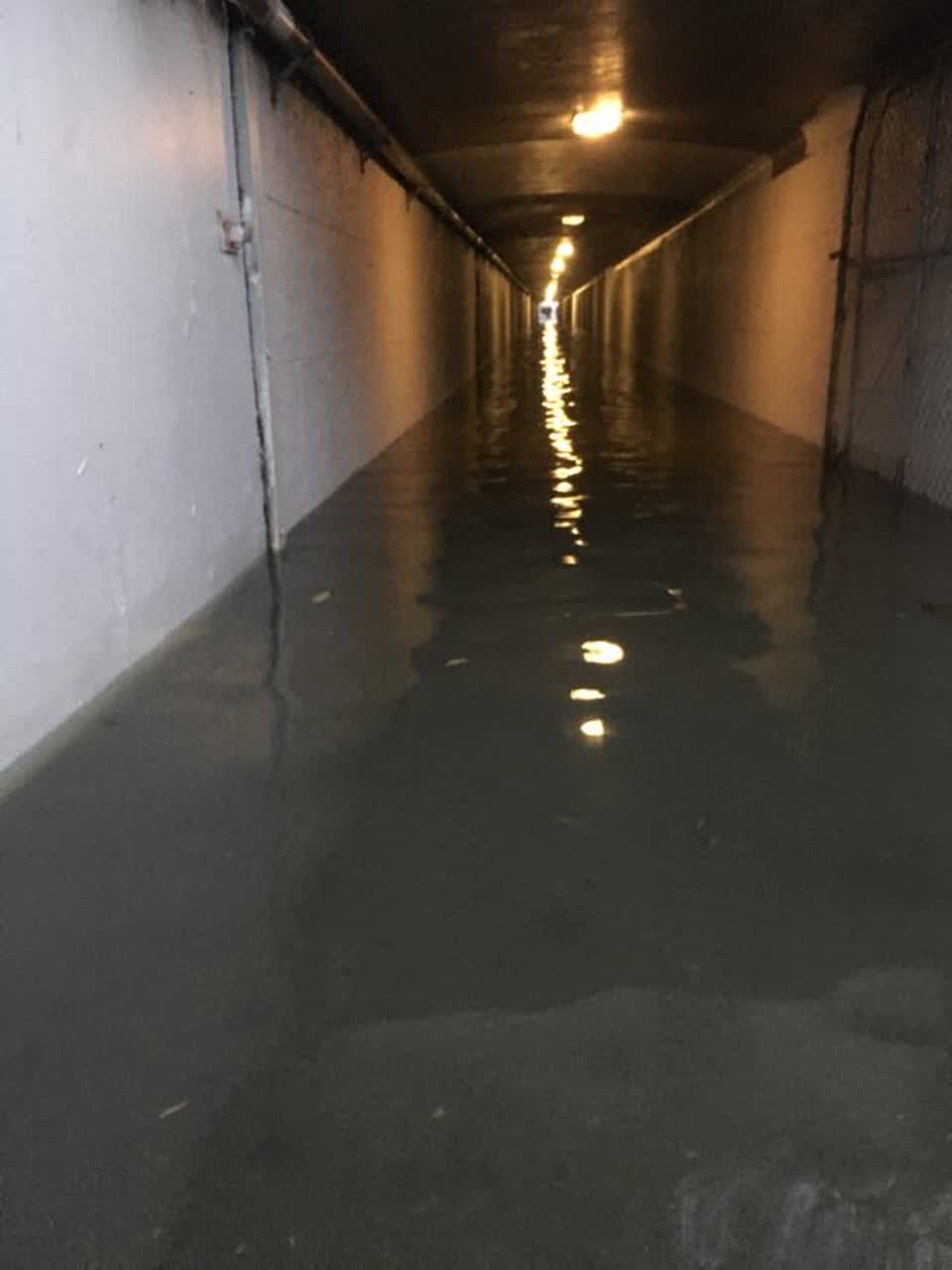 The photograph attached to this flooding report