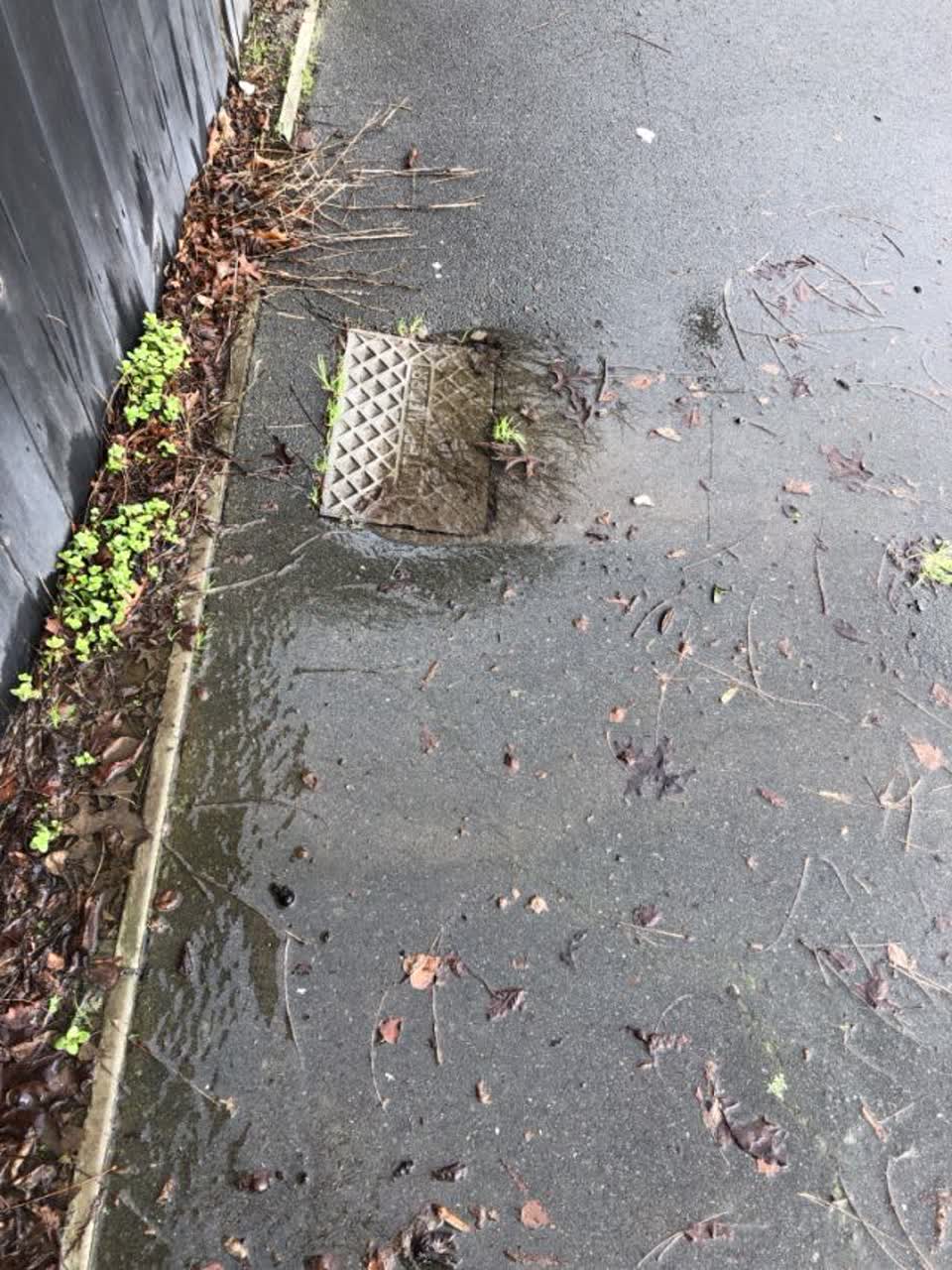 The photograph attached to this water supply report
