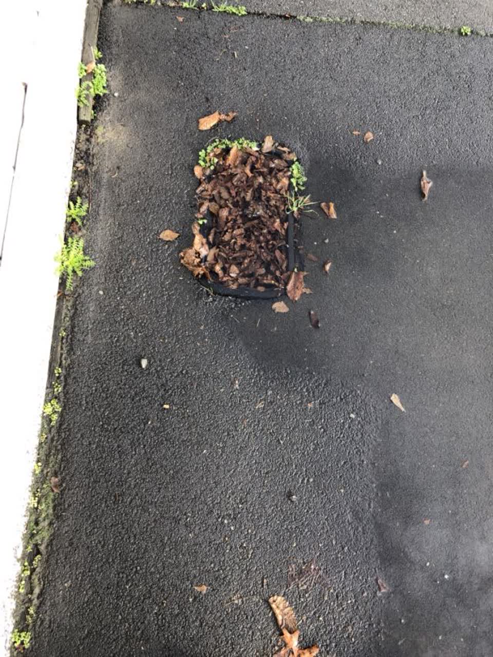 The photograph attached to this water supply report