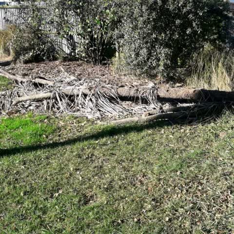 Parks, a report photo