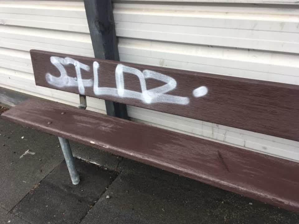 The photograph attached to this graffiti report