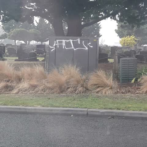 Graffiti, a report photo