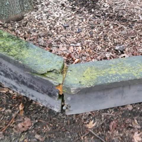 Parks, a report photo