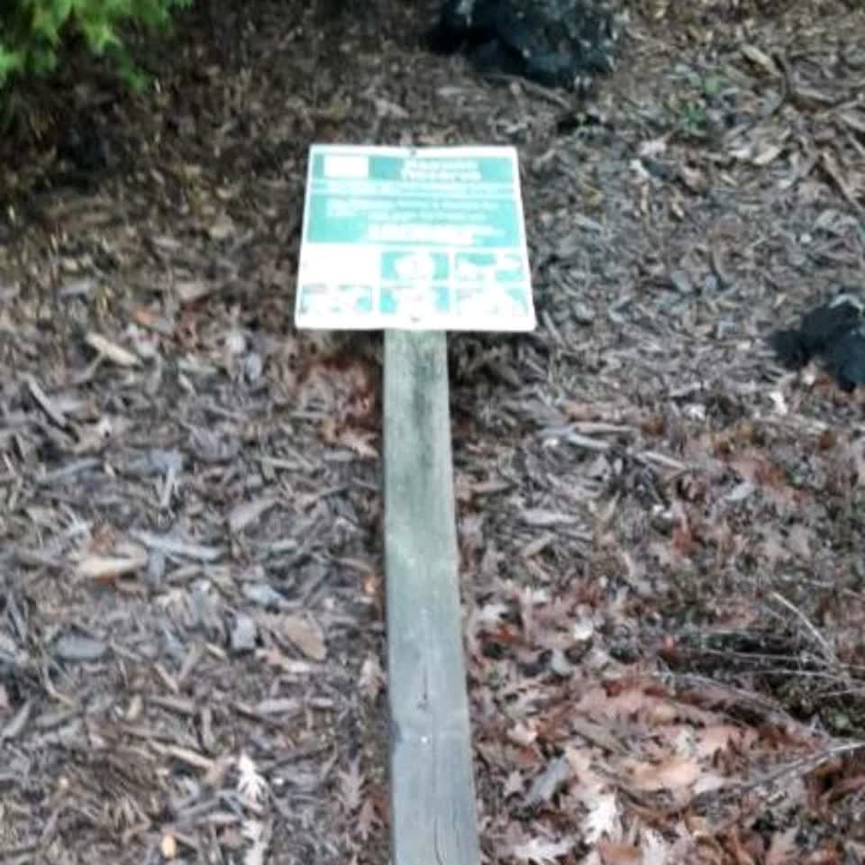 The photograph attached to this parks report