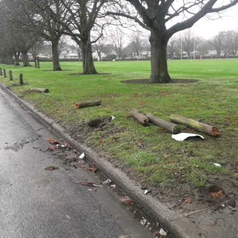 Parks, a report photo