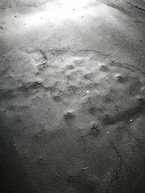 Roading/Streets, a report photo