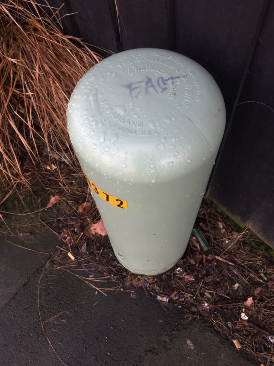 The photograph attached to this graffiti report