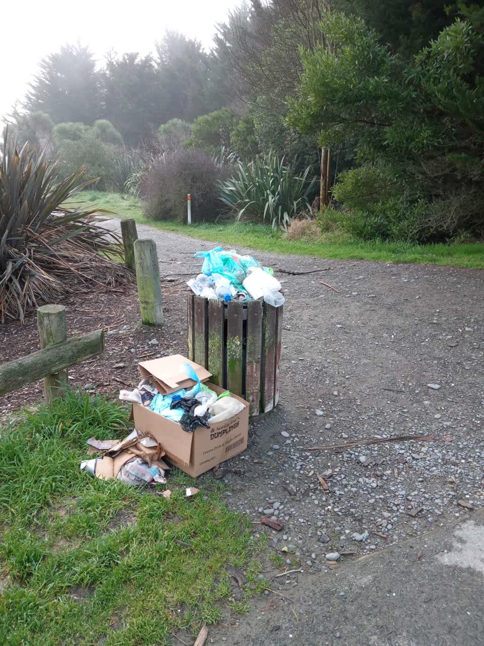 The photograph attached to this rubbish/recycling report